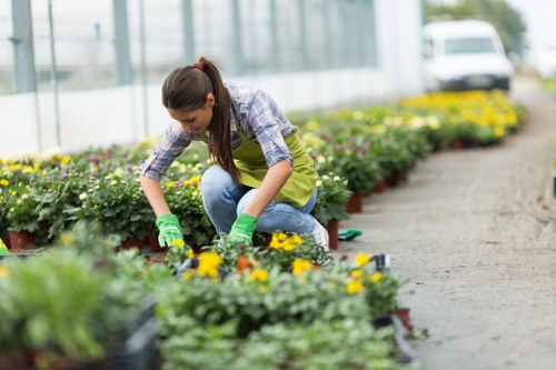 Gardeners New Malden safety-focused team working outdoors