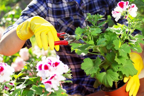 Gardener reviewing safety measures before starting outdoor work
