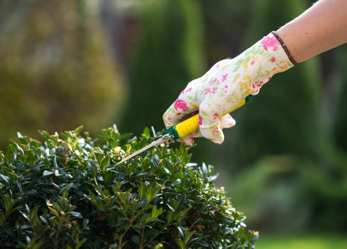 Gardener using ladder safely during pruning work
