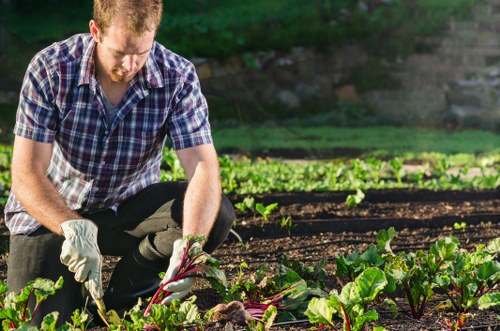 Gardeners reviewing a customer complaint with a professional process