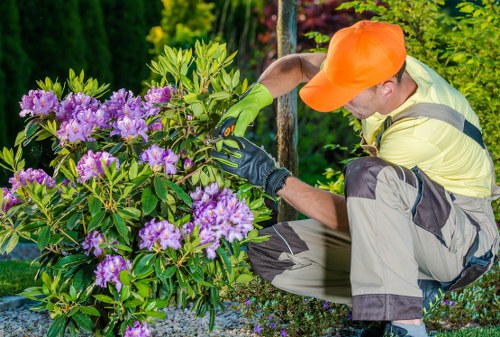 Landscape gardening design in a New Malden residential garden