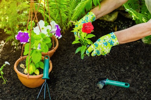 Gardeners New Malden ethical standards introduction