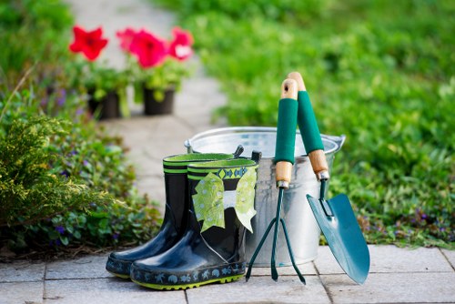 Professional garden maintenance in New Malden