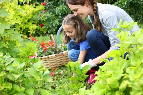 New Malden gardeners focusing on plant health and maintenance