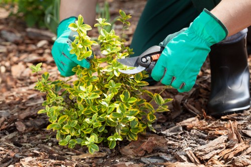 Gardening services in New Malden for neat residential and commercial outdoor spaces