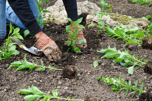 Garden waste sorting and recycling by Gardeners New Malden