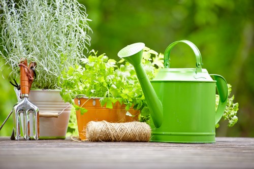 Tidy outdoor space after garden clearance in New Malden