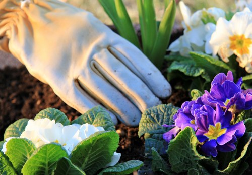 Local waste separation and green recycling in New Malden