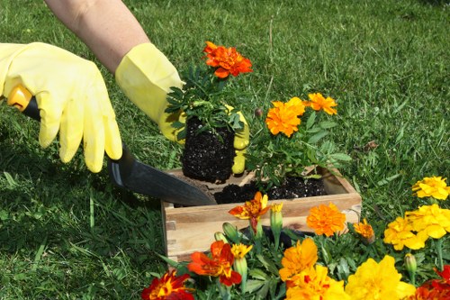 Free quote policy for local garden services in New Malden