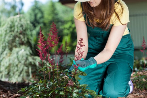 Gardeners New Malden supporting charity reuse and composting