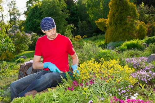 Hard landscaping and border planting in New Malden