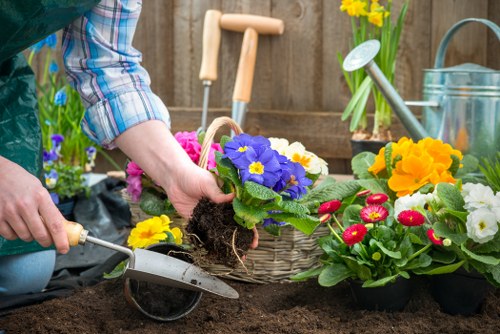 Regular year-round garden upkeep in New Malden