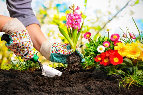 Seasonal garden maintenance work in New Malden