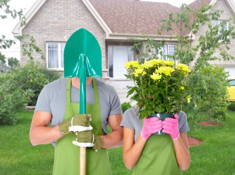 Seasonal garden maintenance in New Malden with planting and pruning