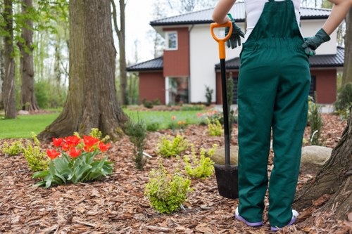 Professional patio washing improving outdoor space in New Malden