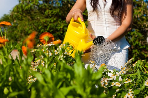 Ongoing accessibility support for New Malden gardening content