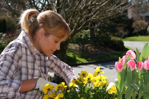 Front garden kerb appeal through maintenance in New Malden
