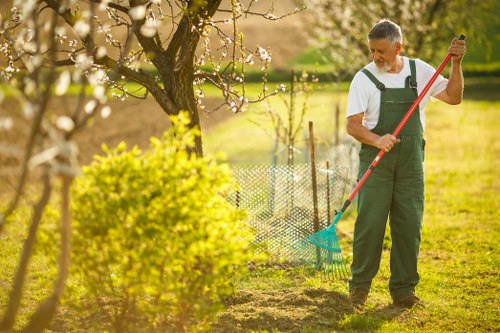 Crown reduction service for a tree in New Malden