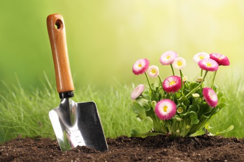 Seasonal planting and lawn care by New Malden gardeners