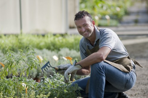 Lawn care and hedge trimming by gardening services in New Malden
