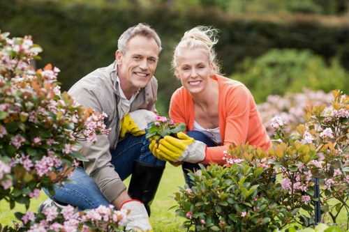 Soft landscaping and garden refresh services in New Malden