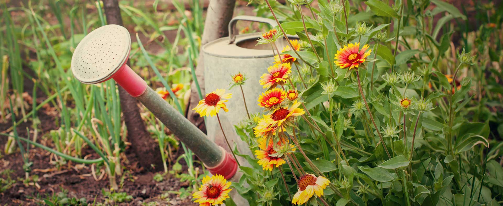 Gardeners New Malden